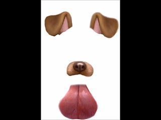 funny dog filter. BANGING