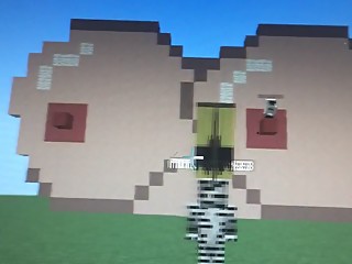 HUGE TITS on Minecraft