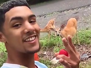 Ugly Mexican dude fucks a mc chicken